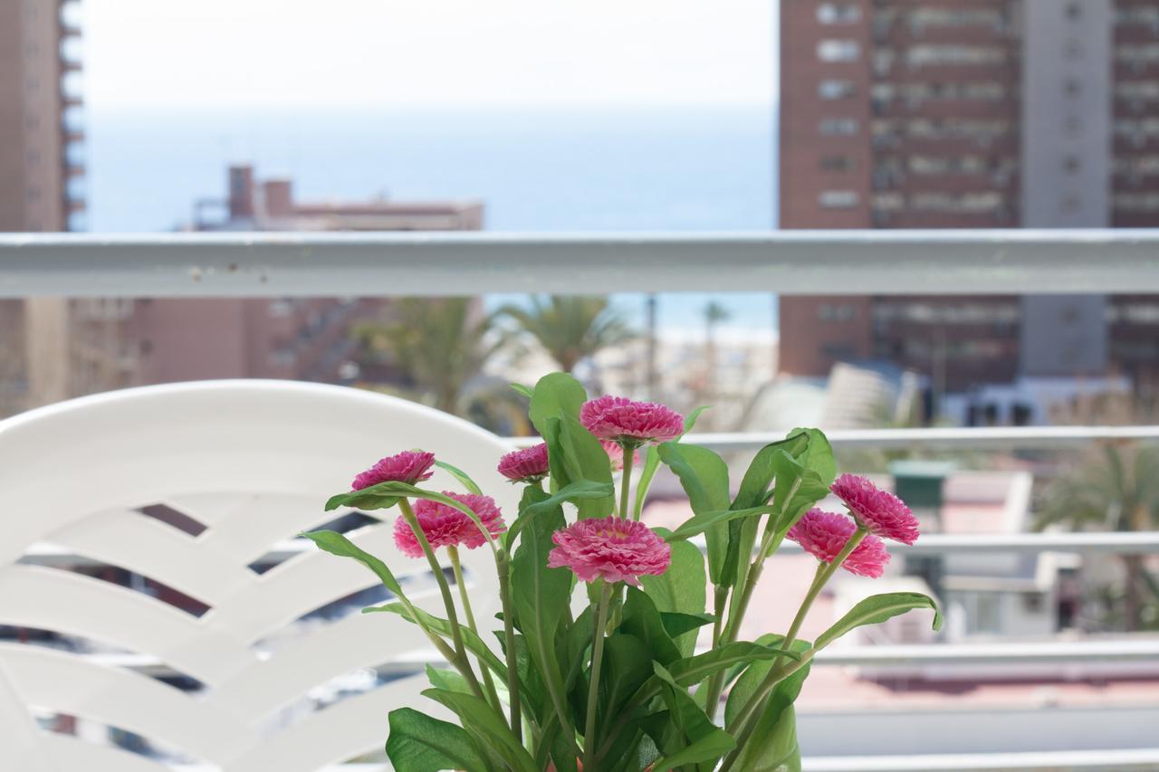 Apartamentos Niza เบนิดอร์ม ภายนอก รูปภาพ